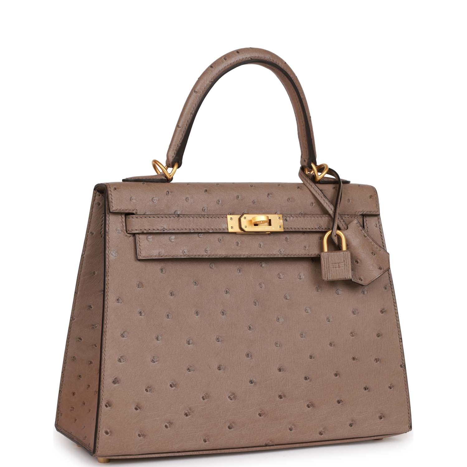 Pre-owned Hermes Special Order (HSS) Kelly Sellier 25 Gris Asphalt Verso Ostrich Brushed Gold Hardware